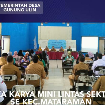 SINERGITAS PELAYANAN KESEHATAN PADA LOKAKARYA MINI LINTAS SEKTOR